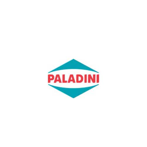Logo Paladini